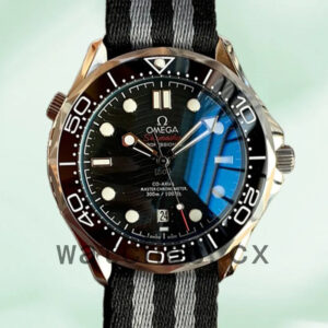 Omega Seamaster 210.92.44.20.01.002 Men 42mm Asian Movement Strap Replica Watches