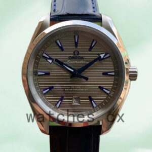 Omega Aqua Terra Men 220.13.41.21.06.001 41 mm Strap Asian Automatic Replica Watches