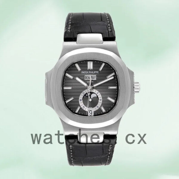 Patek Philippe Nautilus Men’s 40mm 5726A-001 Automatic Replica Watches