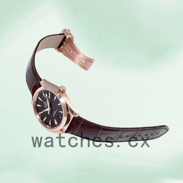 Omega Seamaster Men 220.53.41.21.13.001 41mm Automatic Brown Dial Replica Watches - Image 3