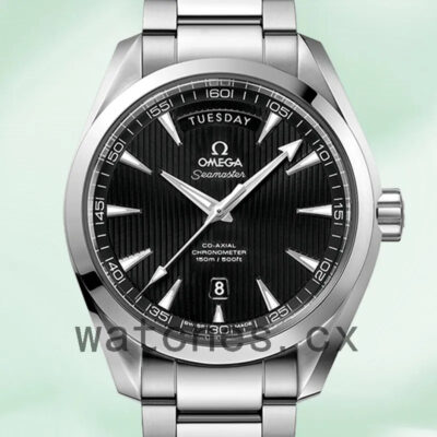 Omega Seamaster 43mm Men 231.10.42.22.01.001 Silver-tone Replica Watches