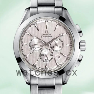 Omega Seamaster Men 231.10.44.50.09.001 44mm Silver-tone Replica Watches