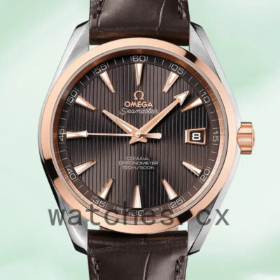 Omega Seamaster 41mm Men 231.23.42.21.06.001 Silver-tone Replica Watches