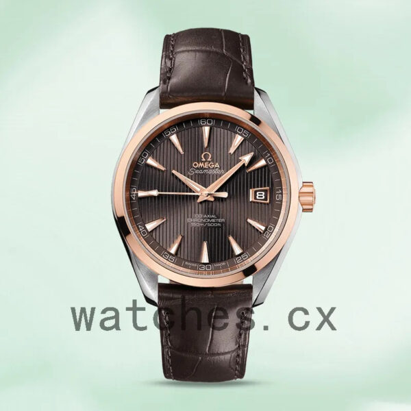 Omega Seamaster 41mm Men 231.23.42.21.06.001 Silver-tone Replica Watches - Image 2