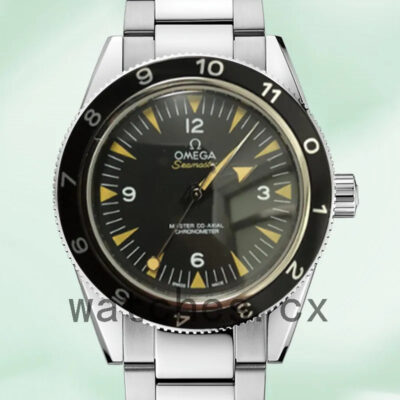 Omega Seamaster 233.30.41.21.01.001 41mm Men Black Dial Replica Watches