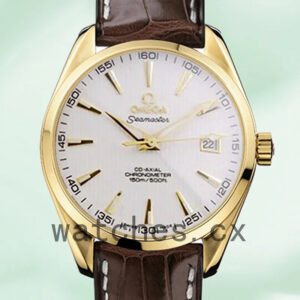 Omega Seamaster 41mm SeamasterWSL-004 Men Leather Strap Replica Watches
