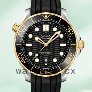 Omega Seamaster 41mm 210.22.42.20.01.001 Men Black Dial Silver-tone Replica Watches
