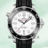 Omega Seamaster 41mm 210.32.42.20.04.001 Men Rubber Band Replica Watches