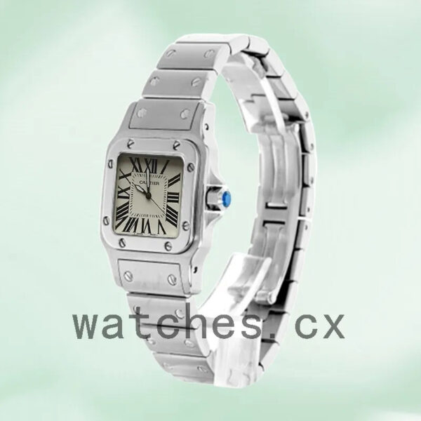 Cartier Santos Ladies 28mm W20056D6 Quartz Silver-tone Replica Watches
