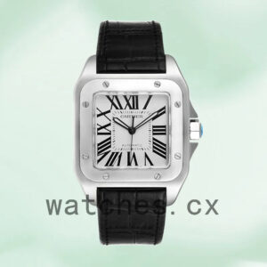Cartier Santos W20073X8 38mm Men’s Silver-tone Replica Watches