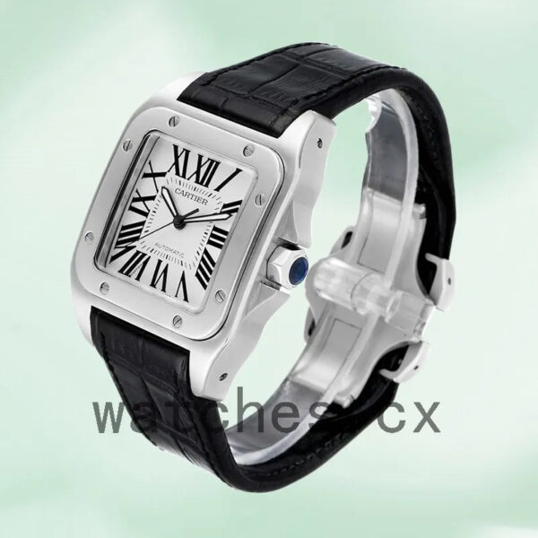Cartier Santos W20073X8 38mm Men’s Silver-tone Replica Watches