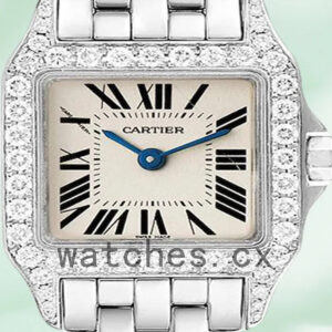 Cartier Santos Demoiselle Ladies 26mm WF9005Y8 Bracelet Replica Watches
