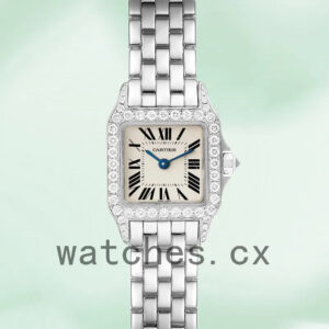 Cartier Santos Demoiselle Ladies 26mm WF9005Y8 Bracelet Replica Watches